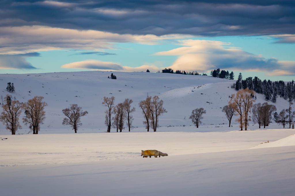 Natures Beauty - Gary Hill
